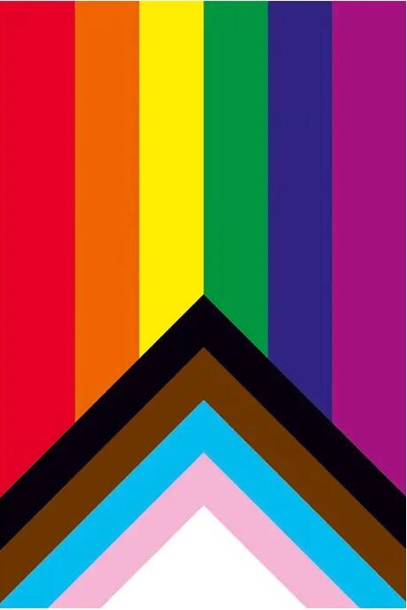 Dean Morris Magnet Progress Pride flagg multi